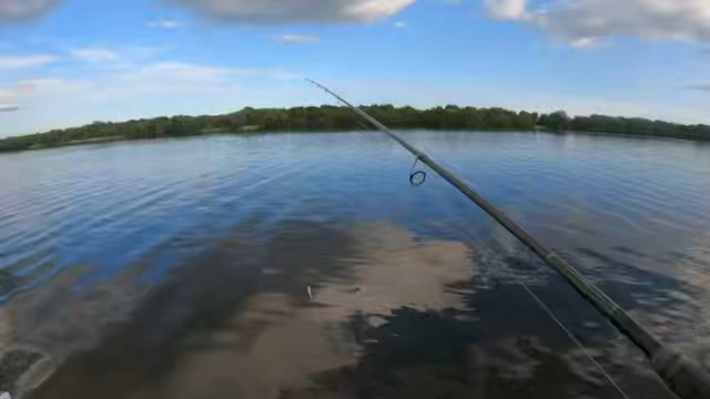 Throwback to an epic Redfish bite with Alejandro Feliciano!
Now is the time to target these schooling Redfish for anyone looking to get their first top water Redfish!
813-624-8000
Skiff charters starting at 400$ 6hrs!