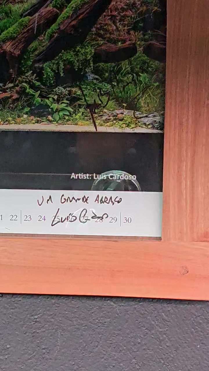 The Master are on the Wall!!
Once again, many Tanks to @i.am.joshsim and @luis_cardoso_aqsc for the pleasure of having your autographs on my humble Gallery. 🙏🏻🙏🏻
#aquascapers
#aquariumhobby
#aquascape
#Internacional
#collection
#autographs
#autographcollection
#masters