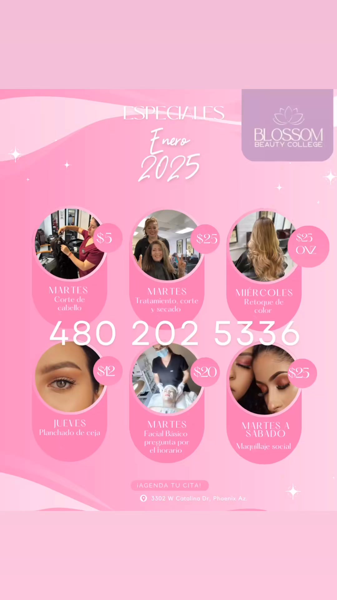 Especiales de enero 2025