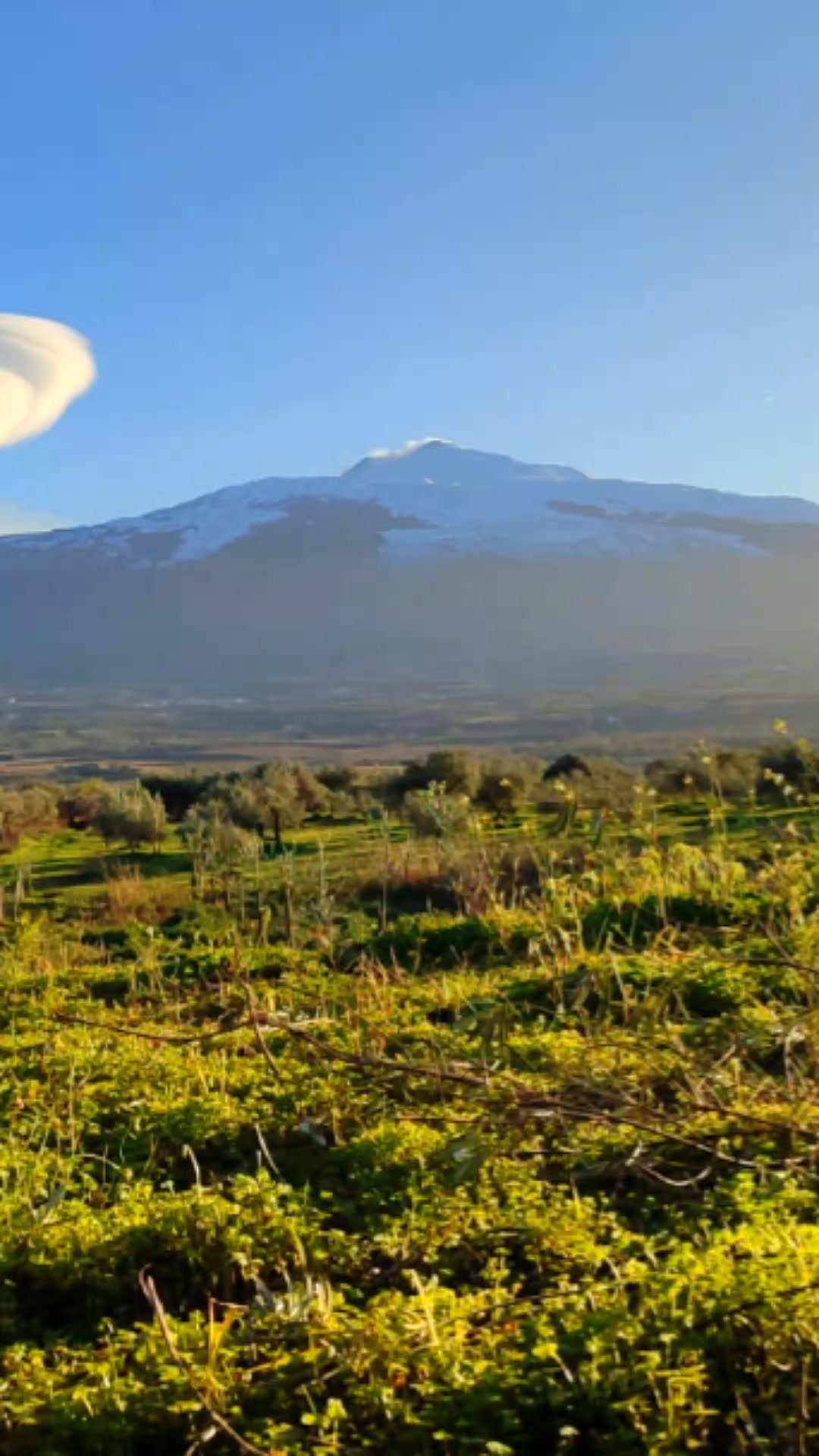 ✨ Etna Under the Stars – A Secret Journey
What happens when a couple dreams of stars, silence, and untouched nature on Mount Etna?
No crowds. No guides. Just firelight, wine, a Mongolian yurt… and pure Sicilian magic.
Mario designed a 3-day off-the-map experience for two travelers who wanted something unforgettable.
📝 Curious to know how it ended?
👉 Read the full story on the blog at www.sicilywestbymario.com/blog
📍Link in bio!
#SicilyExperience #EtnaAdventure #PrivateTravel #SicilyWestByMario #AuthenticSicily #LuxuryNature #OffTheMapJourney #tailormadetravel #marioigt