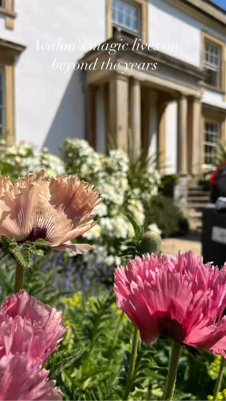 Avalon holds a magic that never leaves your heart 🍎🦋🌹 Lynda GillinghamVanessa Jean Boscarello OvensRachael Te Wano Julie HillCorinne ButlerToni ImriePeggy TaillonBonnie LynkFee Bell