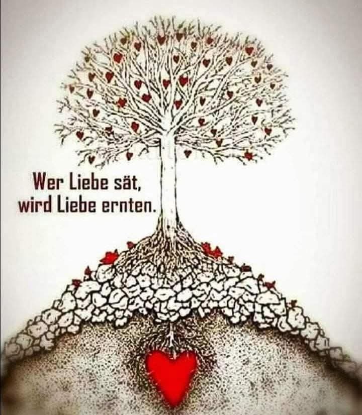 In all seiner Komplexität und Einzigartigkeit ist das Leben ein unglaubliches Abenteuer. Die Höhen und Tiefen, die Herausforderungen und Triumphe, all das formt dich und macht dich zu dem Menschen, der du heute bist. Jeder Tag, den wir zusammen erleben, ist ein Geschenk, und du bist ein Teil dieses kostbaren Geschenks. Möge deine Reise durch das Leben weiterhin von bedingungsloser Liebe, Freude und Erfüllung geprägt sein. Ich bin dankbar, dass ich diesen Weg mit dir teilen darf und freue mich auf all die Abenteuer, die noch vor uns liegen. Großes ist auf dem Weg zu dir.
Wundervollen Frohleichnam und Donnerstag, das Leben ist ein Abenteuer in der Polarität der Höhen und Tiefen. Lassen wir heute mal das Hoch siegen......
liebevoll Conny 💞💞
#Einzigartig
#Kreativ
#Komplax
#höhenundtiefen
#Herausforderungen
#Geschenk
#ReisedesLebens
#Dankbarkeit
#Abenteuer
#Aufdemwegzudir