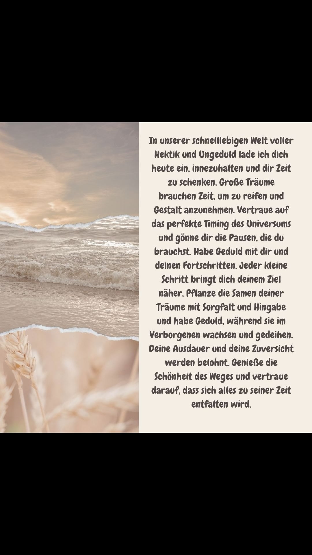 Tagesimpuls für den 14. Juli 2025
Wundervollen Montag
Cornelia 💞