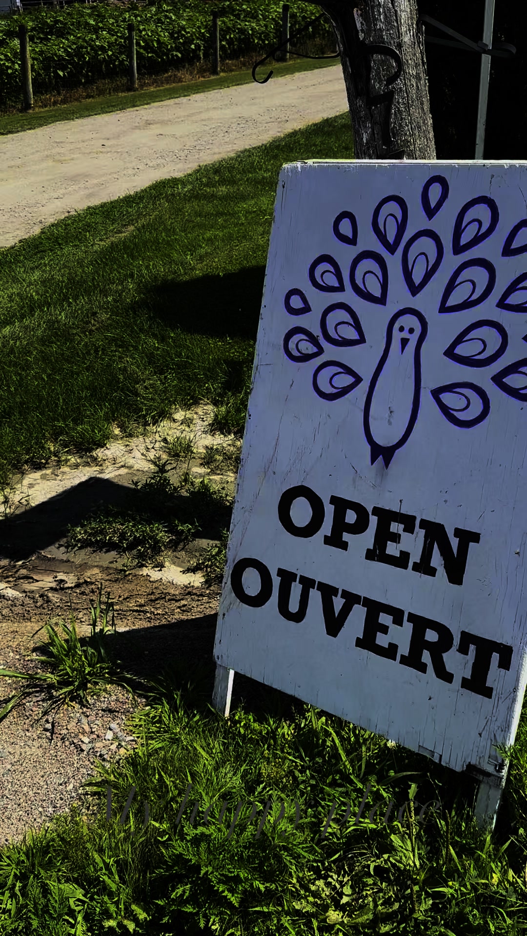 Saturday morning bliss- thrifting, farmers market and nature