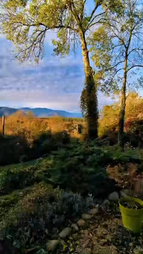Hier, on a parlé d’identité.
Lycée Jean Dupuy, Tarbes,
des mots crus, des vérités.
Des jeunes qui écrivent leur reflet,
des punchlines pleines de clarté.
Ce soir, on rallume les flammes intérieures.
Maison du Savoir à Saint-Laurent-de-Neste,
Les câbles tendus, les cœurs qui vibrent,
le son prêt à s’installer, brut et libre.
Encore un round avant l’hiver,
une scène sincère, sans barrière.
📍 Maison du Savoir – Saint-Laurent-de-Neste (65)
🕗 20h30 #musiqueengagee #rap #hiphop #jeunesse #musique #autoportrait #lyceens #composition #transmission
