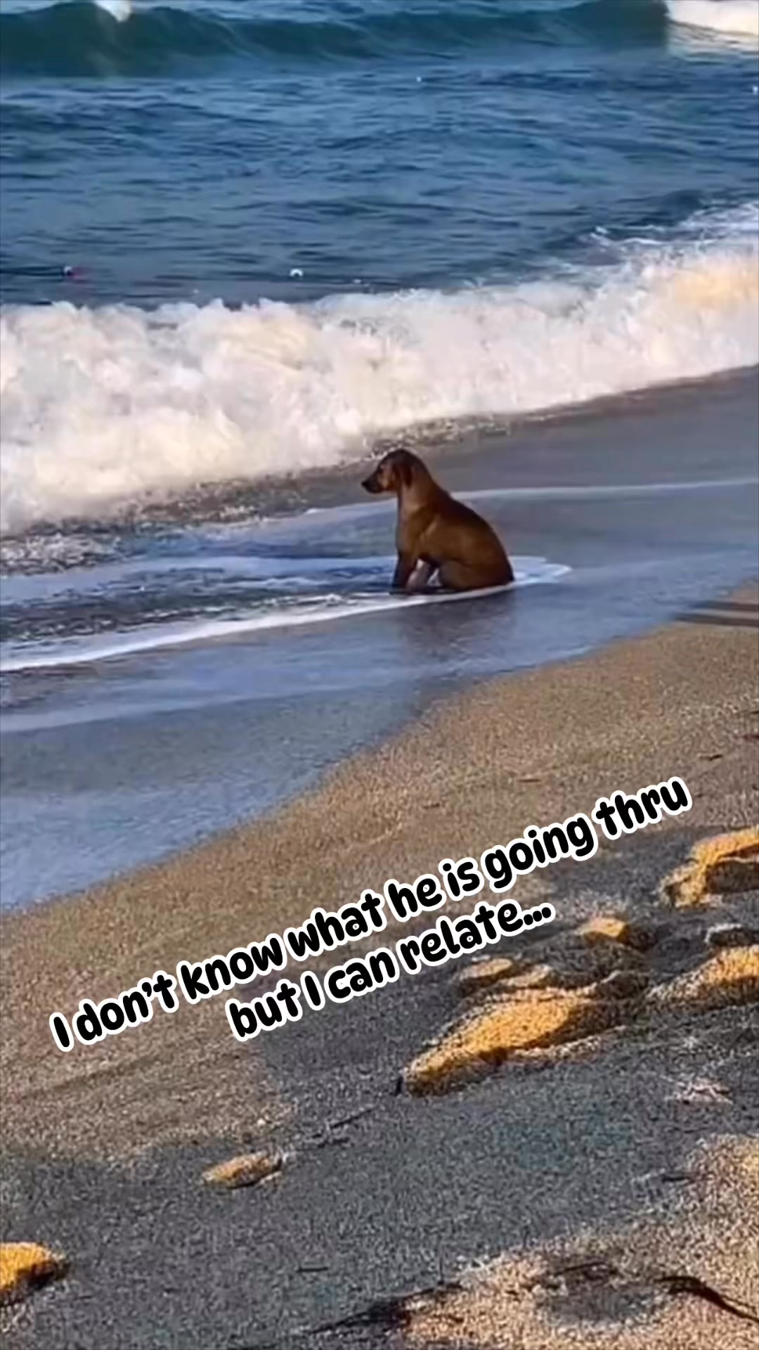 Facebook didn’t like the last song…