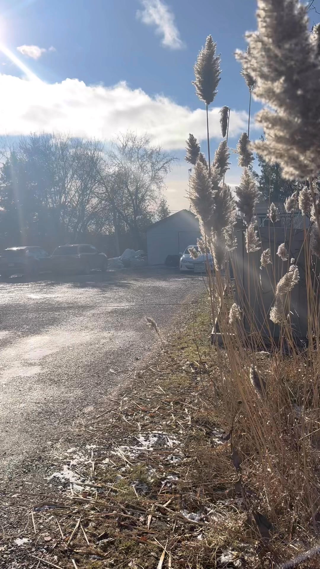 Christine Bizier Kathie Draper