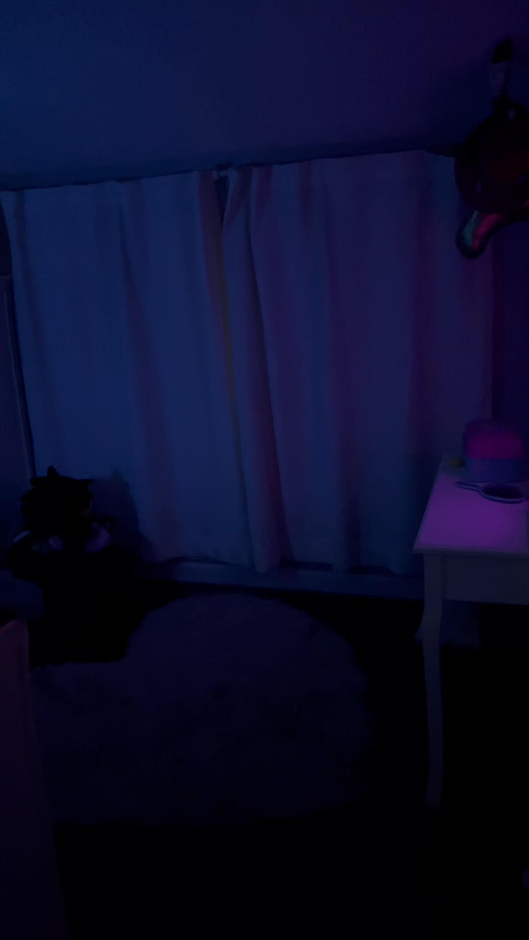 Why sleep in when you can watch the snow come down and listen to Christmas music at 6 am? They can barely contain themselves ❄️☃️