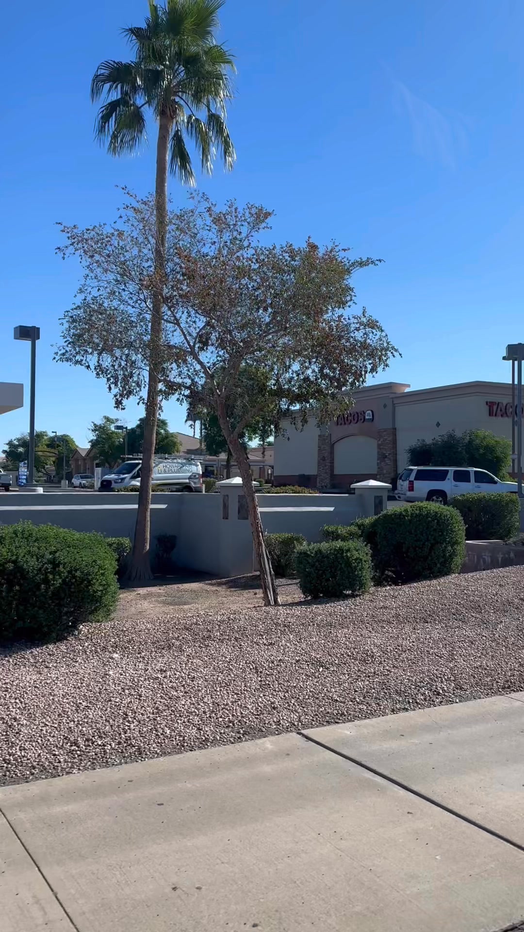 Crystal-clear water, dramatic desert cliffs, and some of the most breathtaking lookouts in the region. Arizona never stops surprising with its beauty — this spot is pure magic.
#CanyonLakeAZ #CanyonLakeArizona #ArizonaLakes #VisitArizona #DesertScenery #AZDesert #NatureLovers #ArizonaViews #ExploreArizona #TravelAZ #DesertVibes #ScenicLookout #LakeViews #TravelReels #NatureReels #AdventureArizona