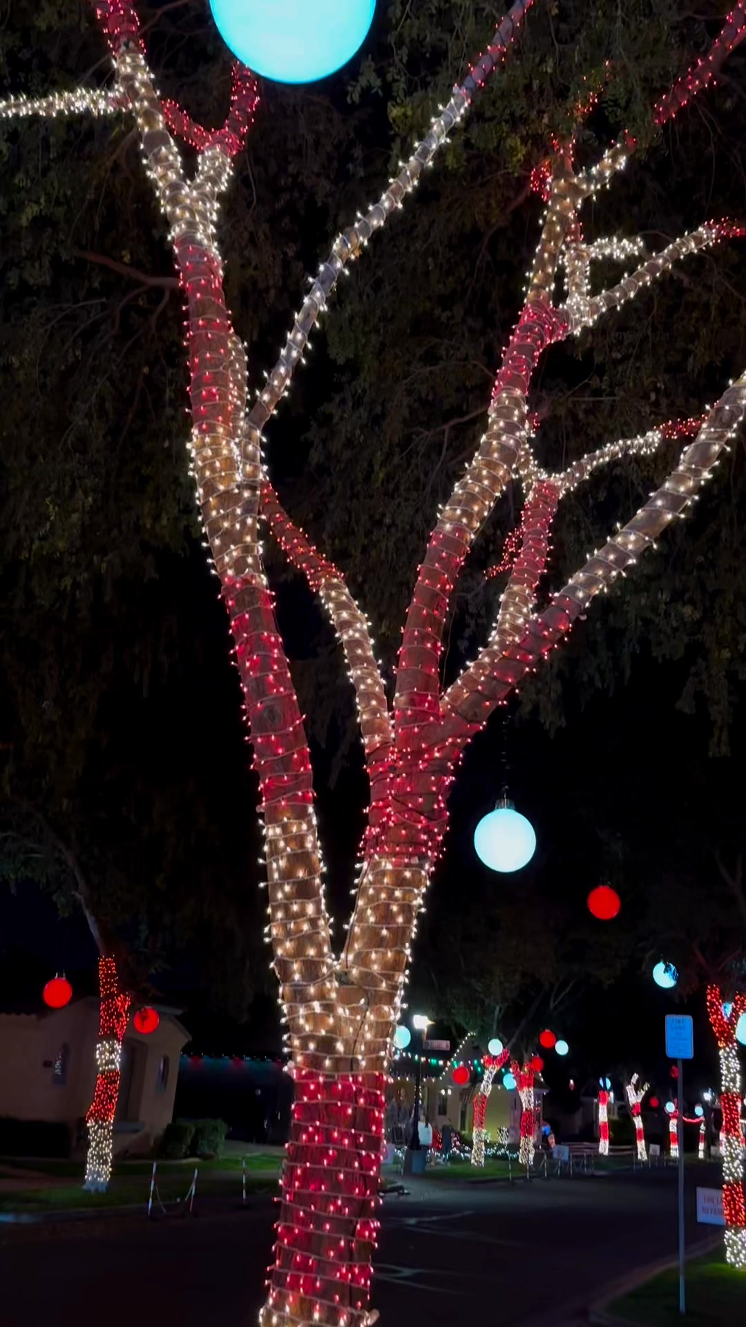 Agritopia Christmas lights are seriously adorable 🎄
Cozy streets, twinkling lights everywhere, and all the festive feels. Such a fun spot to wander around, grab a treat, and soak up the holiday magic in Gilbert.
#Agritopia #AgritopiaChristmas #GilbertAZ #ArizonaChristmas #ChristmasLightsAZ #HolidayVibes #VisitGilbert #ArizonaHolidays #FestiveFeels #ChristmasInArizona #AZReels #HolidayReels #WinterInArizona