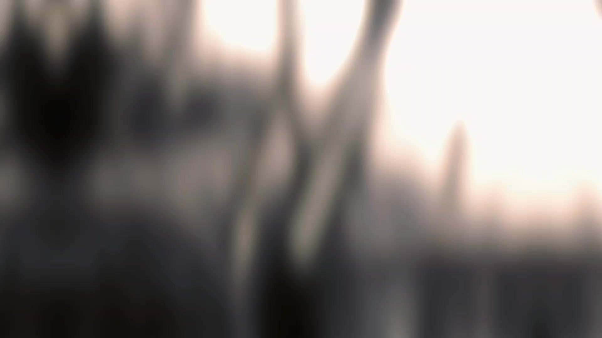 Couper tailler trier plié produire et composer, tirer sur le fil et floater. #energiefrancoamericaine #vibesauthentiques #livemusic #celloguitarebatterie #groupedemusique #SansIA #musiquelive #rapbilingue #vraisinstruments #liveperformance #mamasaid #mamasaidmusique #mamasaidmusic