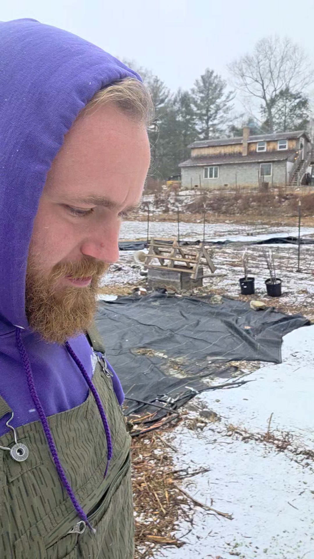 Enjoying the light snowfall this week and adding some nutrients to a new market garden space. It was time to replace some old pig fencing so 2 birds 1 stone. Not an exciting video but just a little update.
Simply Growing Food!