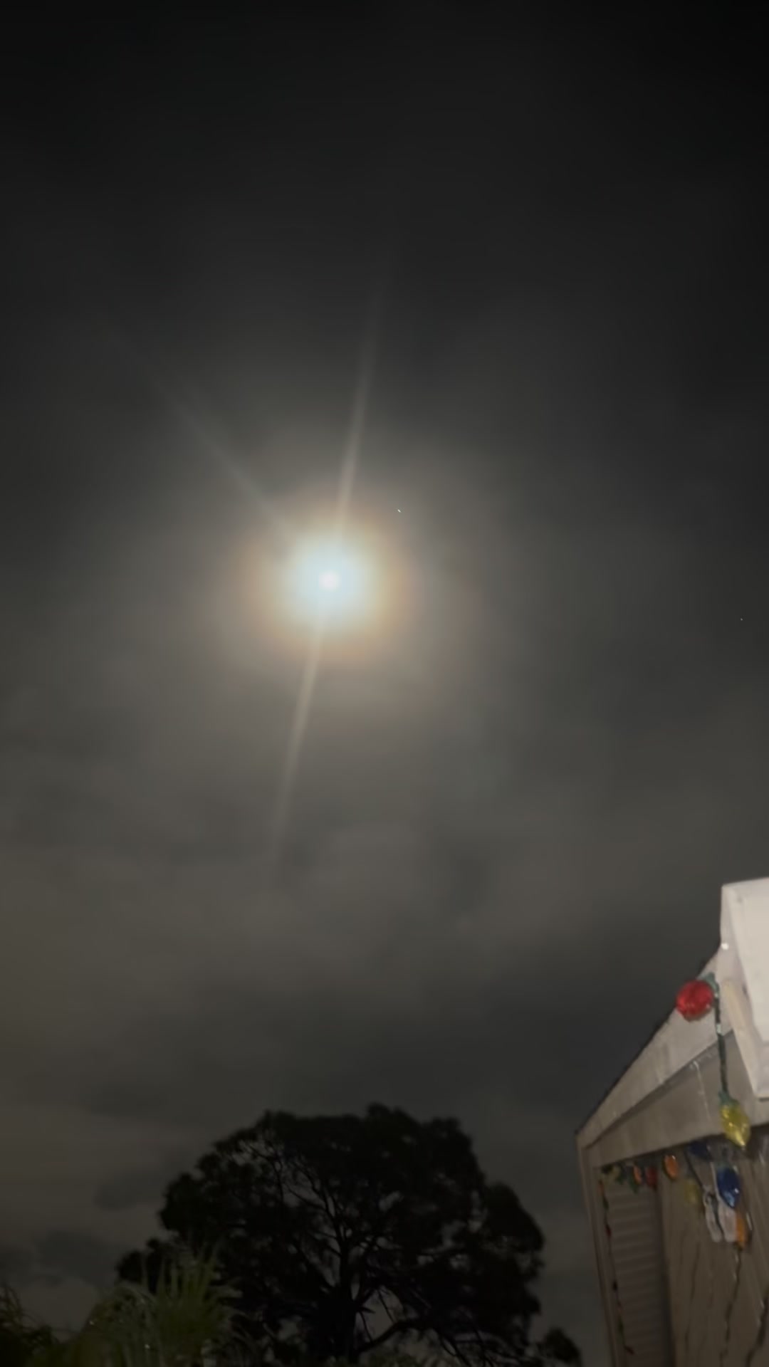 The moonlight almost stops your heart!