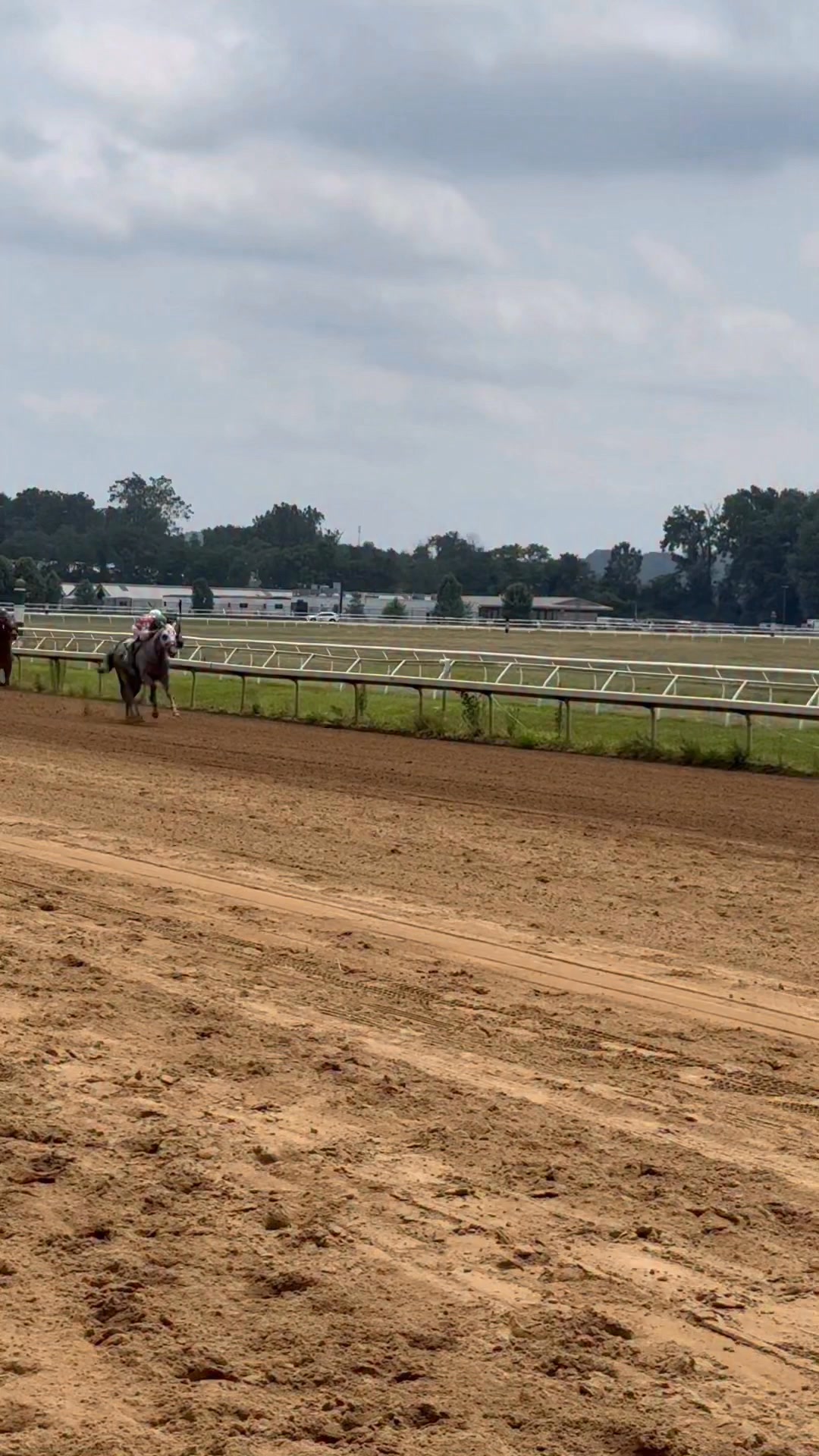 Loved having Can't You See (Tucker) home from the track for a winter break, but it's time to start getting back into the racing groove.