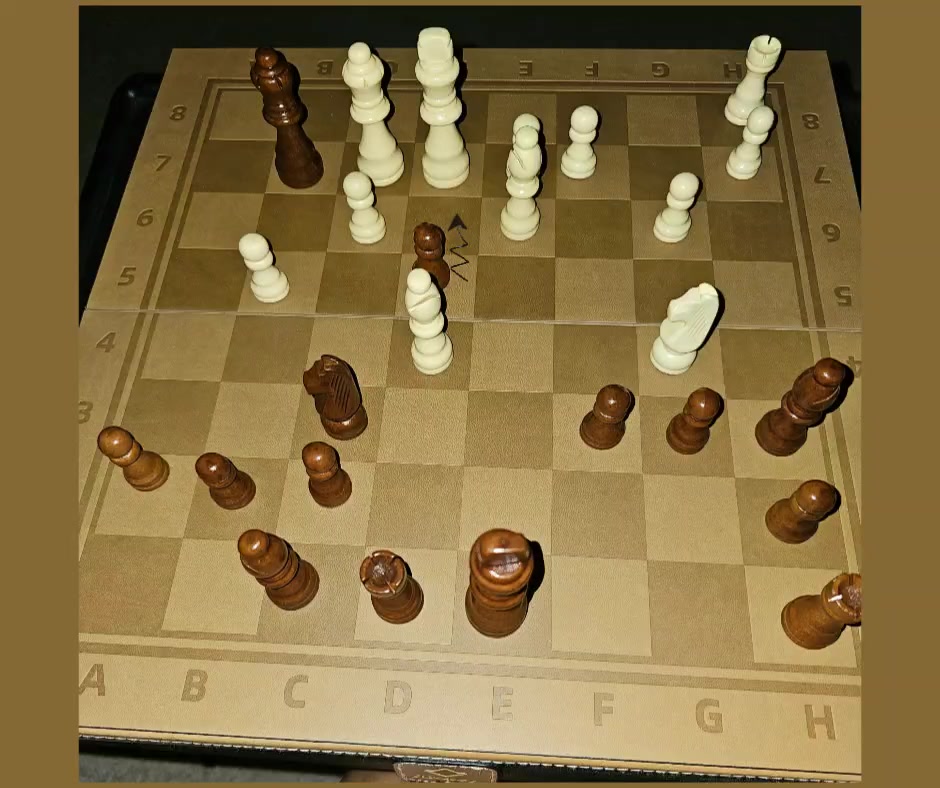 We in the chess dojo.šŖš¾ āļøšāļø Hopefully no Queen swap todayš«£š #chesstactics #chessnotcheckers
