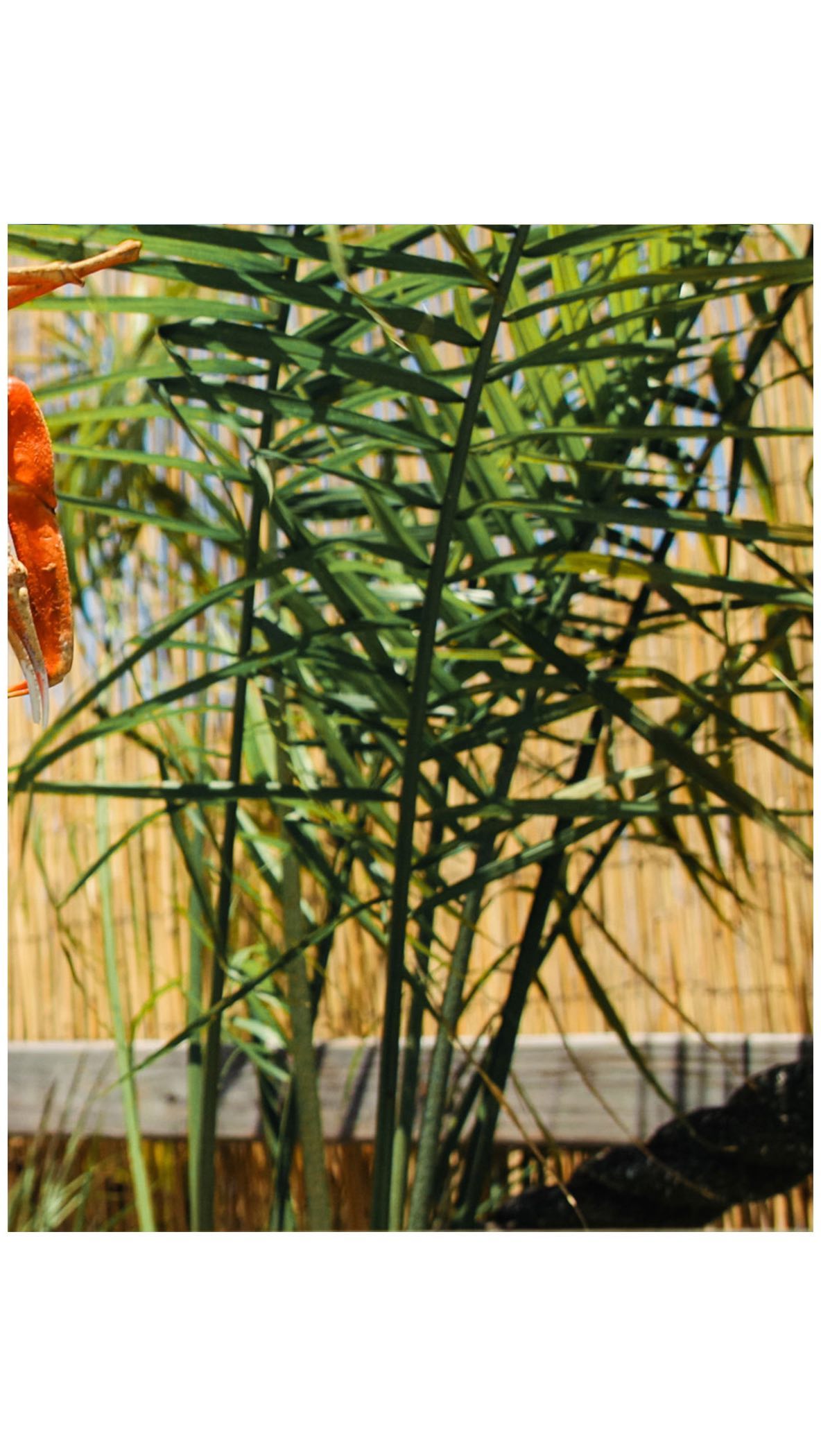 Fresh seafood w/ @2ndjettyseafood 🤝🍣