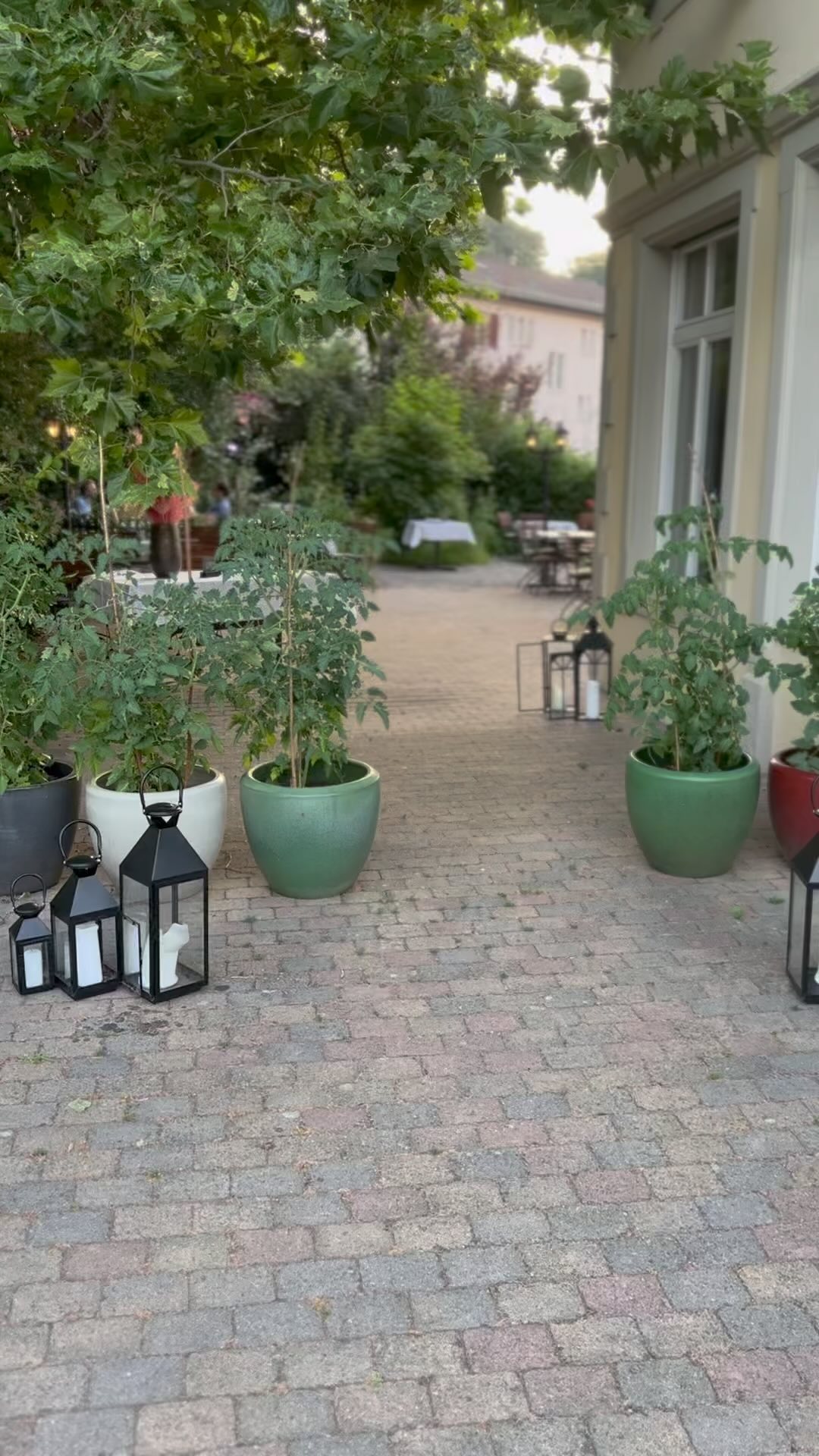 Geniesse unseren traumhaften Oberstadt-Garten 🥰
#oberstadt #oberstadtbaden #baden #badenist #badenisst #gaultmillau #gaultmillau_schweiz #foodie #restaurantzürich #swisswinelistaward #vinummagazin