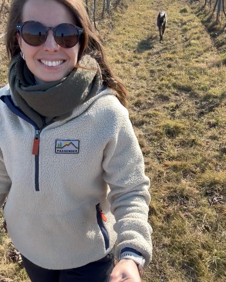 February dump taken seriously this time. More infos on the 2nd slide 🌞🤓 #february #pruningseason #winemakerslife