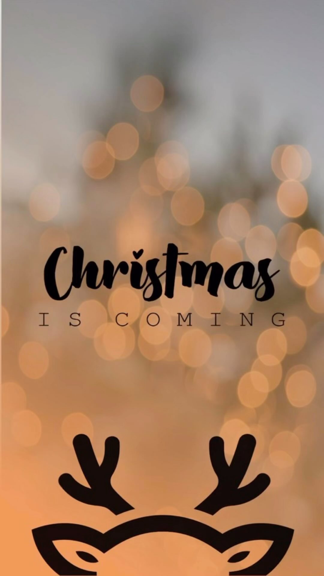 ✨Les fêtes arrivent, il est encore temps de passer vos commandes mais ne tardez pas…✨
✨les délais sont indiqués en temps réel sur la bannière déroulante en haut de page du site.✨
✨✨✨
#cadeaudenoel #horsehair #crins #claireetcrins #animaux #animauxdecompagnie #bijouxpersonnalises #braceletpersonnalisé #braceletlover #bijouxfaitmain #bijouxfemme #cavalier #poilsdechat #poilsdechien #cadeaudenoelpersonnalise #bijouxuniques