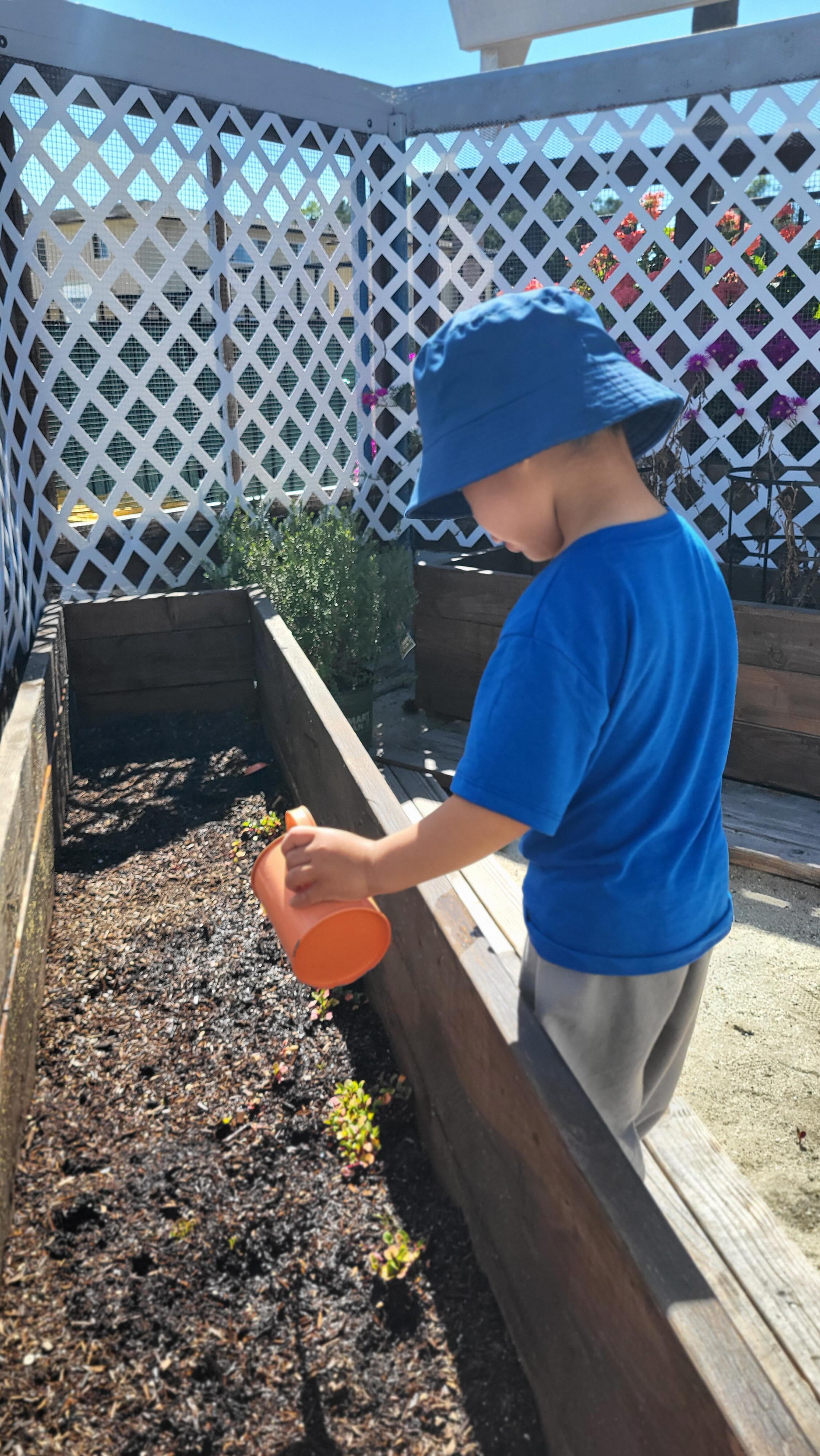 It’s amazing how seeds can produce an abundance of delicious fruits and vegetables for us to eat. God provides what’s best for us! He also provides us so much wisdom through the art of gardening. We have been faithfully watering our seeds and patiently waiting for them to grow. We can’t wait for the harvest! 😋
#preschoolgardening
#preschool
#imaginechristianpreschool
