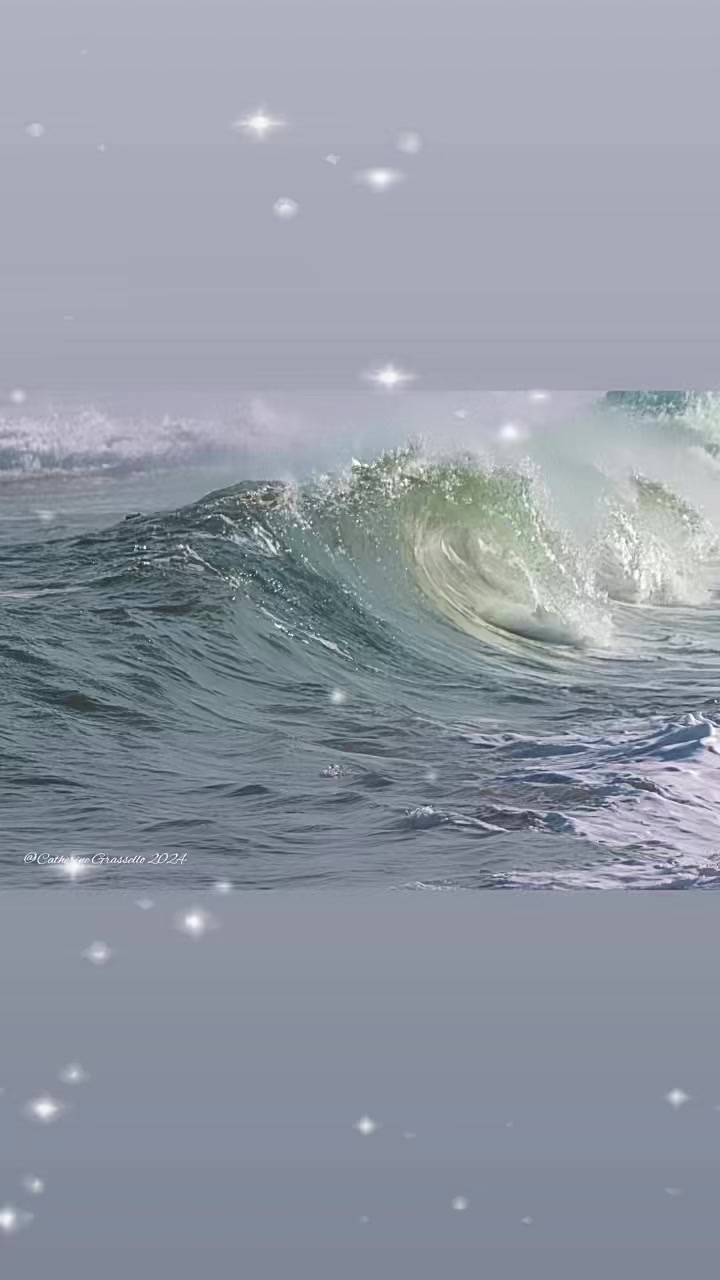 Spent a lovely and unusually warm February day in Newburyport. Went to Parker River, which was really a treat. Many people were on Plum Island beach as though it were a summer day. Here is my little album of shots from a great day spent with my dear friend, John Abisamra.