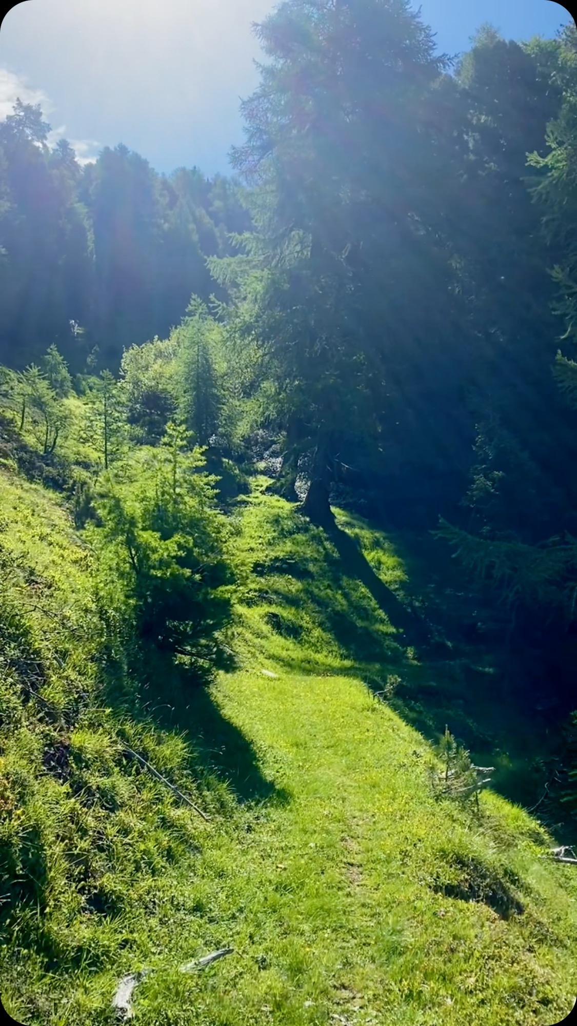 Summer is in full flow in the Val d’Anniviers this week and we’re looking forward to one as epic as last year ☀️🦌🌼🥾🏃♀️🚵♀️
-
@valdanniviers @grimentz.zinal @stluc.chandolin
#summerishere☀️ #summersun #activityholidays #valdanniviers #switzerland #switzerland_vacations #hiking #trailruning #cycling #alps #swissalps #nature #natureholidays #valais #wallis #mountainholidays #fromwhereiride #fromwhereirun #adventurebeginshere