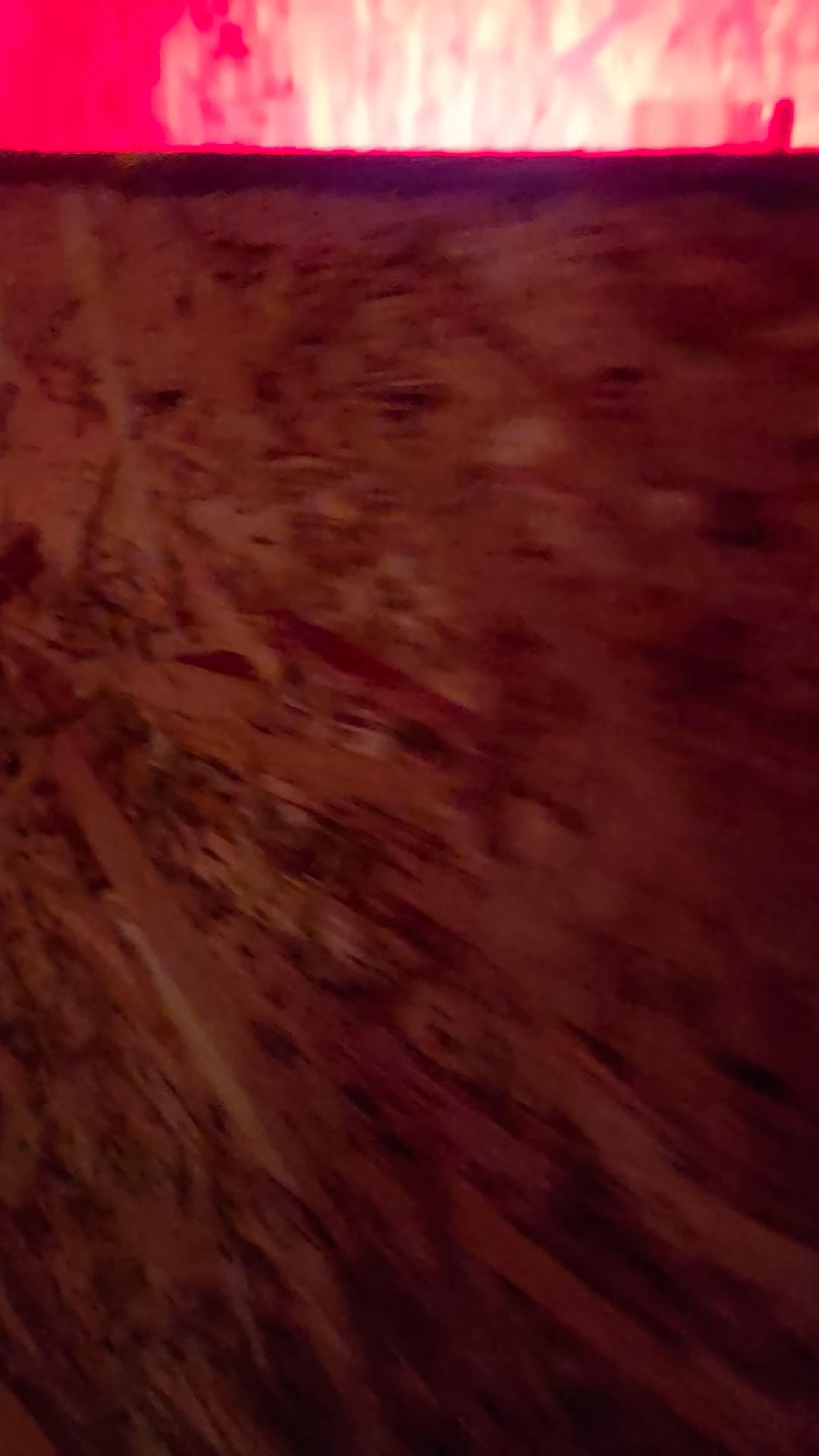 Never a dull moment! Check out this little hen already roosting and flying well above twice her height! She was sleeping up on the wooden roost. Happy chicks make healthy hens!
Simply Growing Food!