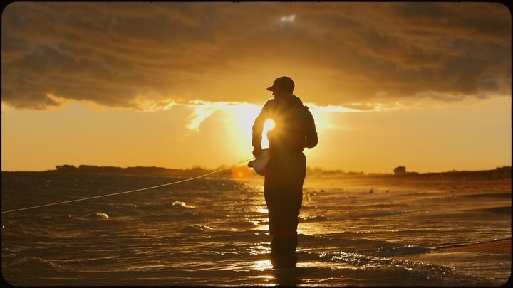 The Celestial Beauty of November Light.
Couldn’t help but think on this day last week there was a legend watching from above…
