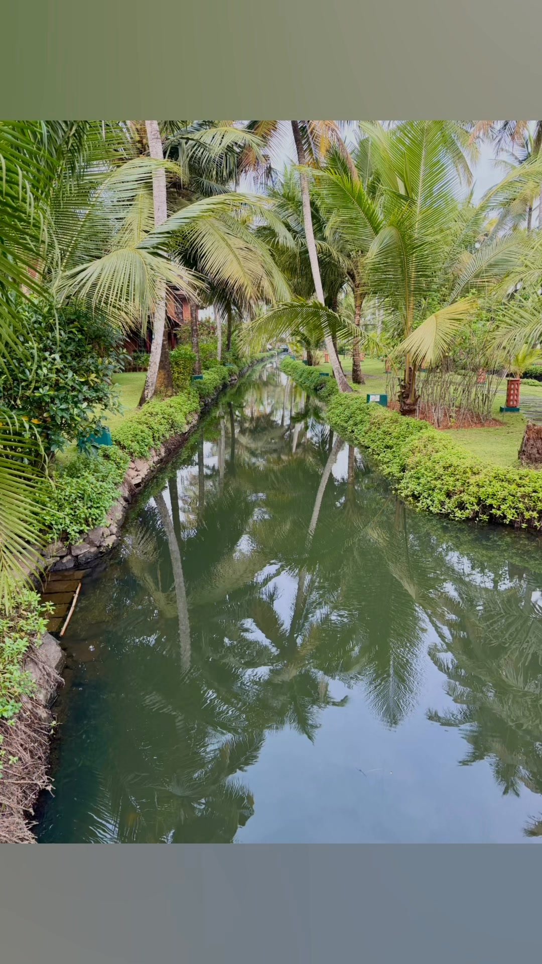 Aahilya Holidays
Alexandra Waylett
Mellymade Designs
This is a beautiful hotel which has some glorious flora and fauna. Here is a little taster. We leave it tomorrow and are going off to the mountains. Watch this space!
Check out for our next holiday to SRI LANKA Feb 2025 . I cannot wait for this one!!!!! Çheck out https://www.aahilyaholidays.com/tour/f5e5/-a-textile,-craft-&-cultural-journey-of-sri-lanka-with-alexandra-waylett-&-melanie-missin-2027 for more details