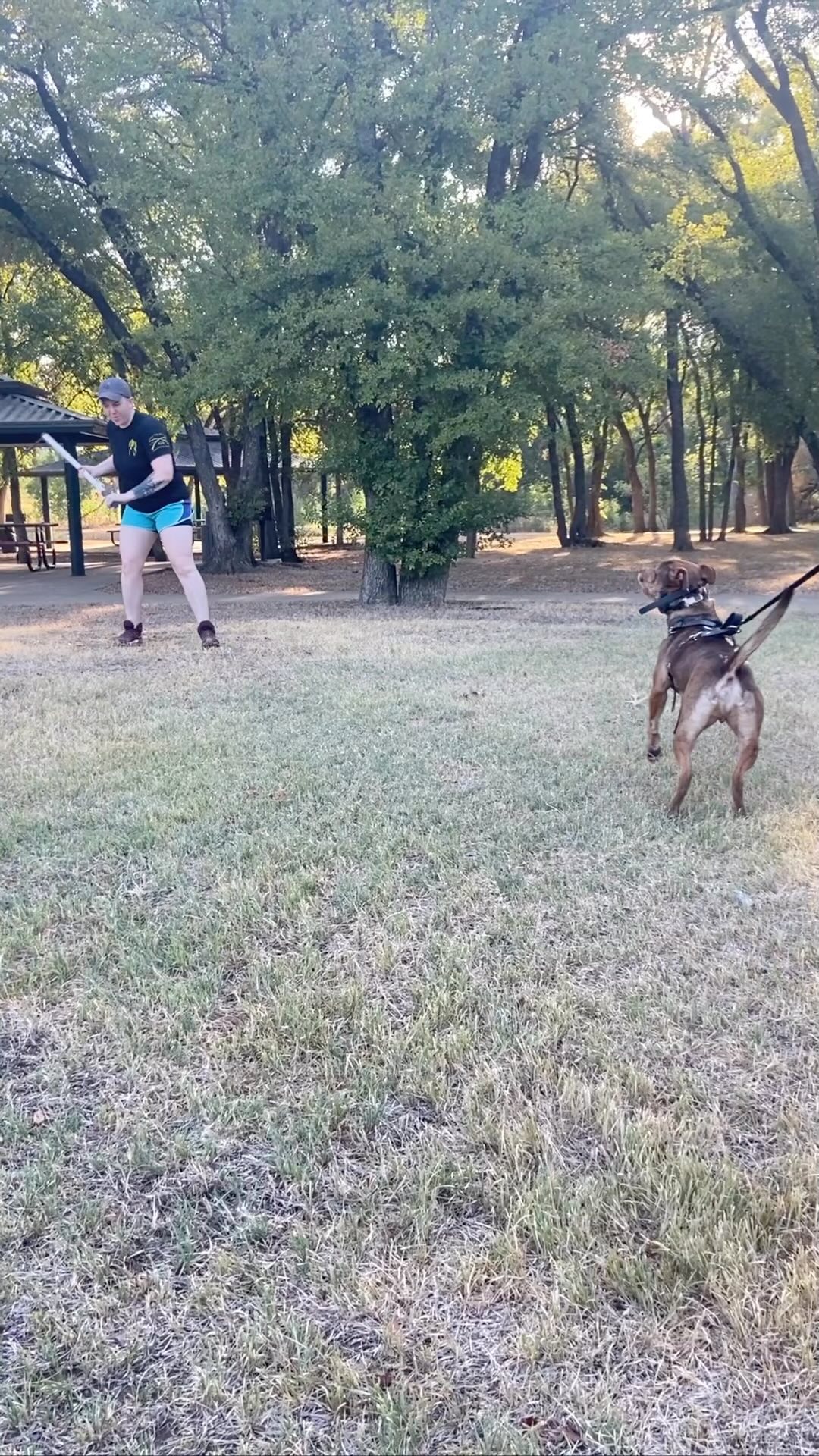 Such a nice day to work dogs. I’m so glad I have a group of trainers that are so nice and supportive. Leo is getting more confident each session. Leo man is the best 🤗