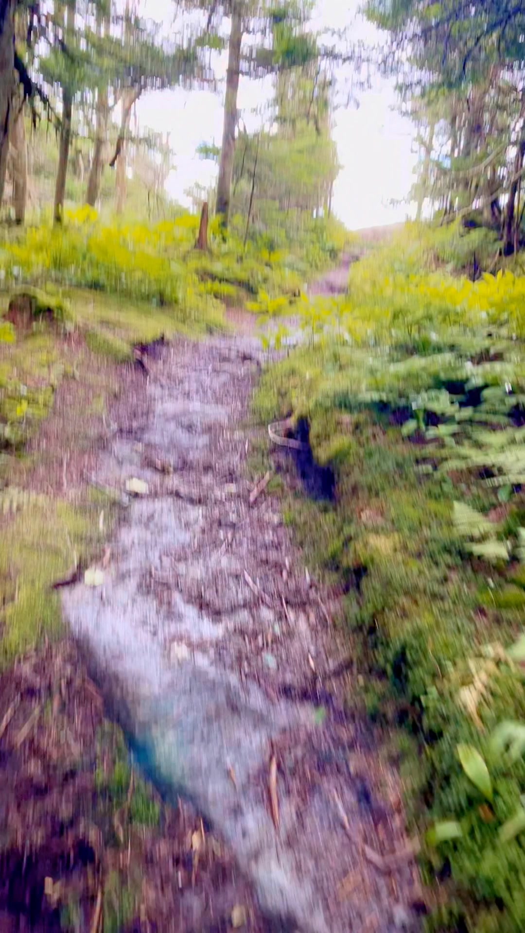 There are no words that can adequately describe the feeling of finally coming out and over the last leg, and reaching the summit. The doubts, the tears, the blisters, and the fears…all of them are worth it for this view and this moment.
I am so proud of these women - and ALL the women - that embark on these adventures and trust me in leading them up these sacred mountains, however far they go.
We are always stronger together.
Adirondack Adventure Women’s Retreat July 17 - 20, 2026.
Registration is now open!!
Beth Sturdevant