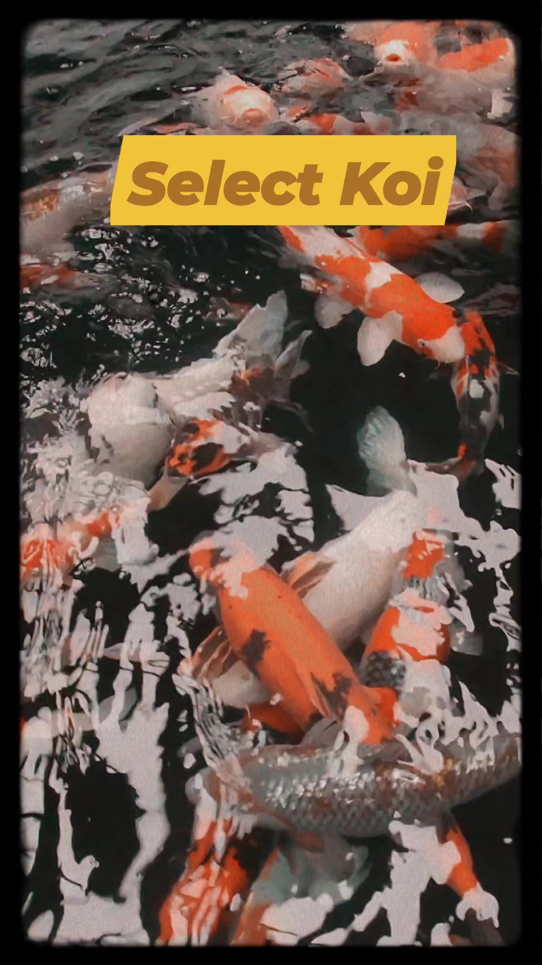 I'd like to say I'm now lawfully employed doing something I love doing!