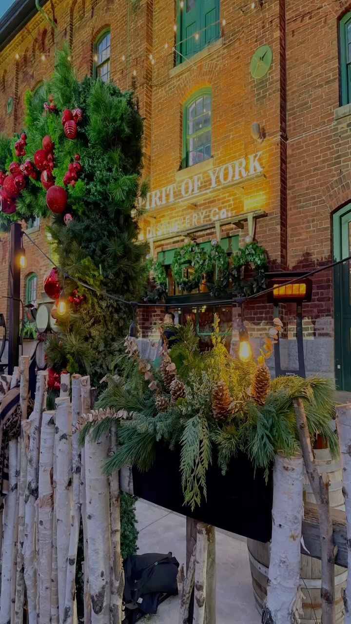 🎄We kicked off the Christmas Season at @distilleryto with the stunning @dior Christmas Tree lighting stealing the show! 🌟 We strolled through the Christmas market and checked out the winter planters at the @spiritofyork, created by the talented Rachel of @makelemonadeco , and capped off the evening with a delicious dinner at @clunydistillery. Magical moments with @peter_leahy ! ✨🍷 #HolidayMagic #MemoriesInTheMaking
.
.
.
.
#toronto #the6ix #christmas #distillerydistrict #christmasmarket #holidaymarket #dior #christmastree #christmastime #love #datenight #fun #holidayfun
