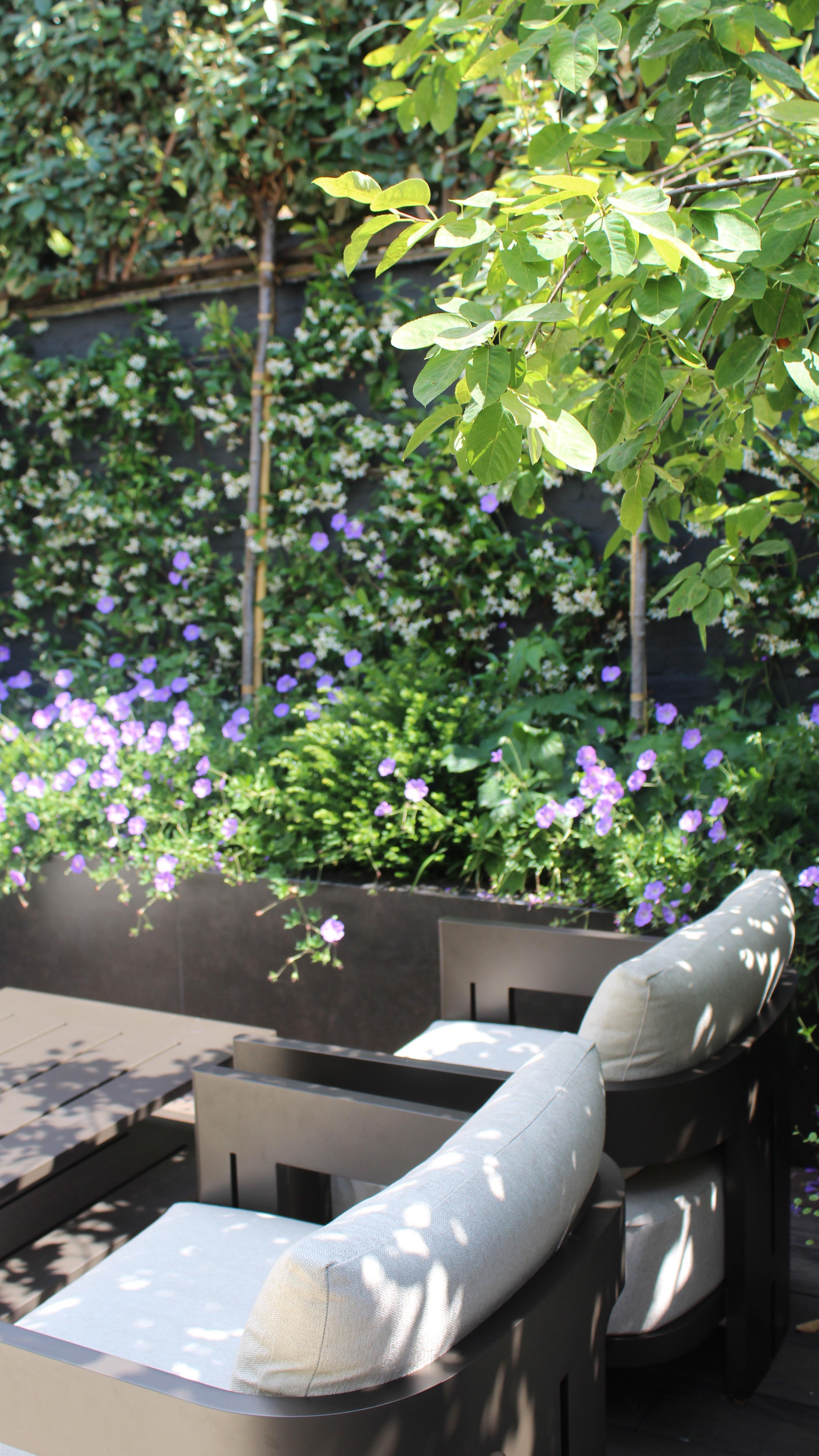Elegant courtyard in Fulham that packs a real punch!
We completed this the end of April and the plants are all out in full bloom, some late flowering perennials to still appear later this summer.
Beautifully constructed by Tom @cadoganlandscapes
Lights by @dlx_lighting_limited
Plants @creepersnursery & @griffinnurseries
Wall cladding @rensonworldwide
Paving @mandarinstoneofficial