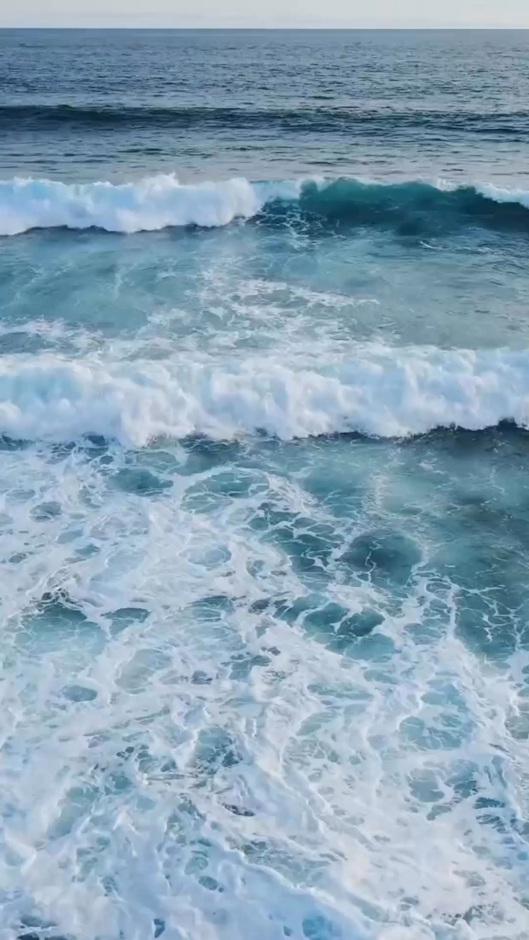 3rd video of 4
Awareness and Discipline ✨🤍☀️
Awareness opens the door… discipline helps you walk through it. Small steps, steady progress, real change.
Needed to see this myself this week. keep moving and trust the process - no matter how uncomfortable the feelings are ✨🧡
With love Nicole
#wellness #motivaton #discipline #smallsteps #awarness