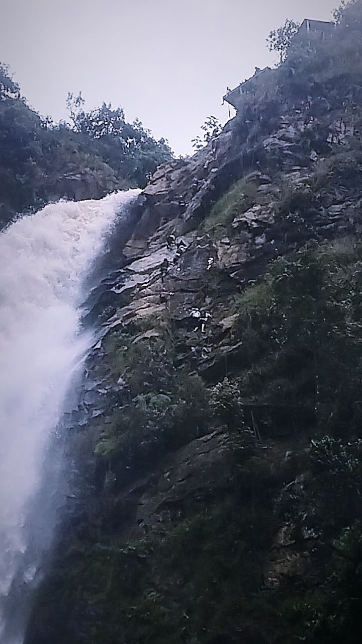 Si quieres conocerte, viaja y encontraras tu camino
#inspiration #peludosyviajeros #antioquia #viajeros