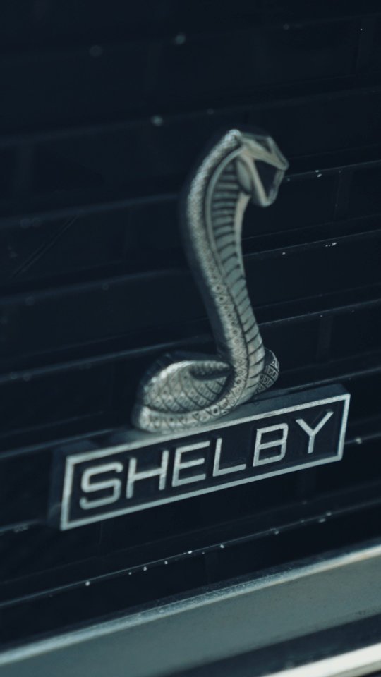 Introducing breathtaking bridal party cars, elevating the elegance of every captured moment.
#wedding #weddingcars #fastandfurious #ford #melbourne #musclecar #australia #bridalcars #happilyeverafter