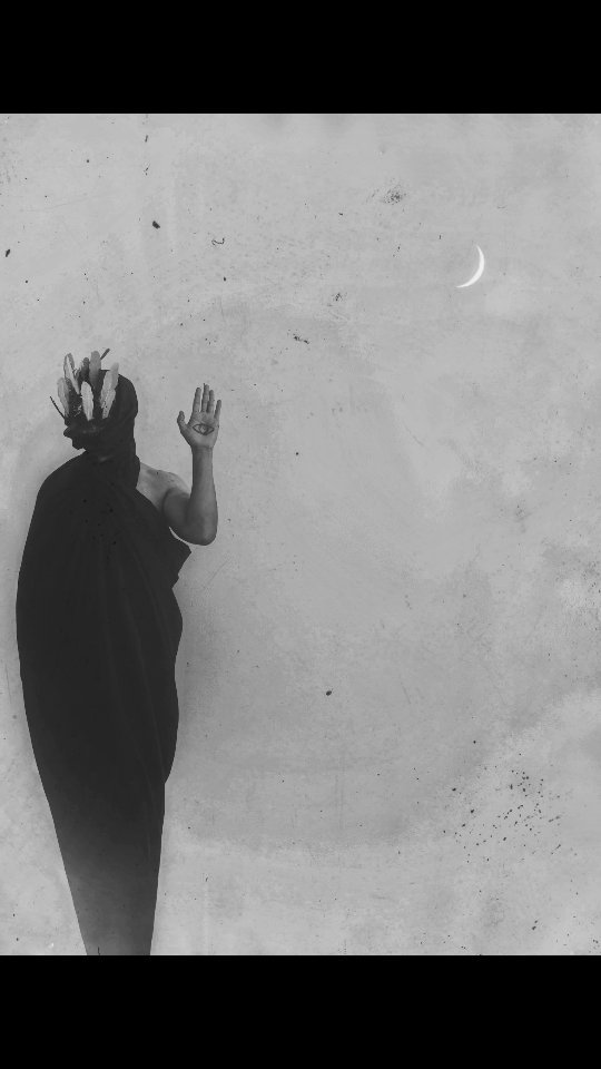 Today @hotelpanamera at 6pm "Sincretismos" by @pedrocalavria
Written by @robersz
Animation by #tulumination.studio