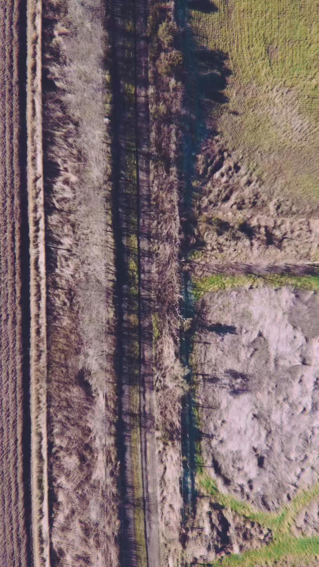 Bike ride around to Fyvie Castle #bikeride #sunnyday #Fyvie #adventures #drone