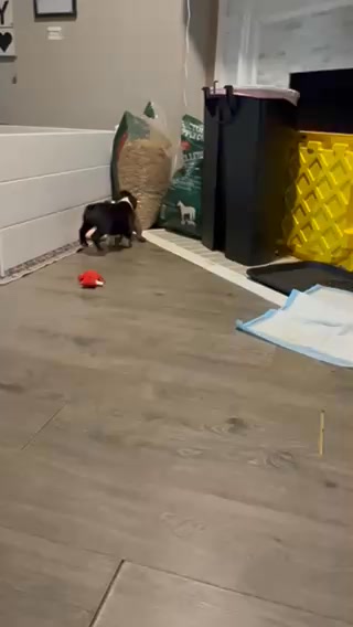 We are so close to him coming home! 🤩🥰🤩