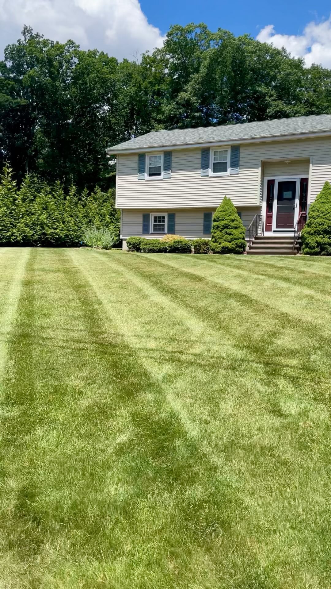 We take lawns seriously 🔒✅🌱
#concordma #hslu #highstlawnunlimited #tallgrass #lawncare #flowers #landscaping #lawncare #planting gardening #lawnmower #color #summer #stripenation #lawncarenut #lawncarenation
#lawncareservice
#landscapepainting
#landscapes
#yards #mowers #zeroturn #lawncarelife
#landscapers #stripe #stripes #lawncarecommunity
#stripelifegear #longgrass
#backyard #grass