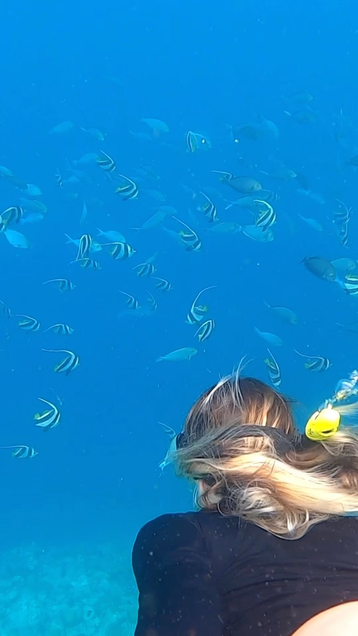 #underwaterworld #fishes #turtles #paradise #maledives #snorkling #oceandiscovery @vilamendhoo