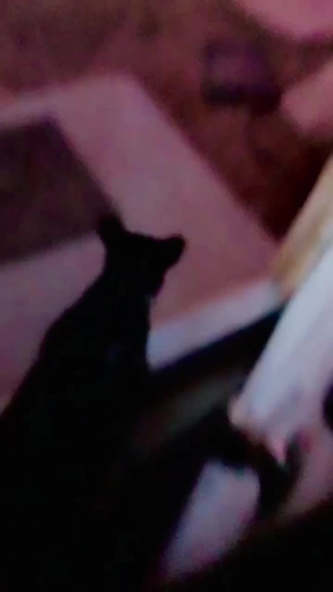 Day 115 #sobriety #journal