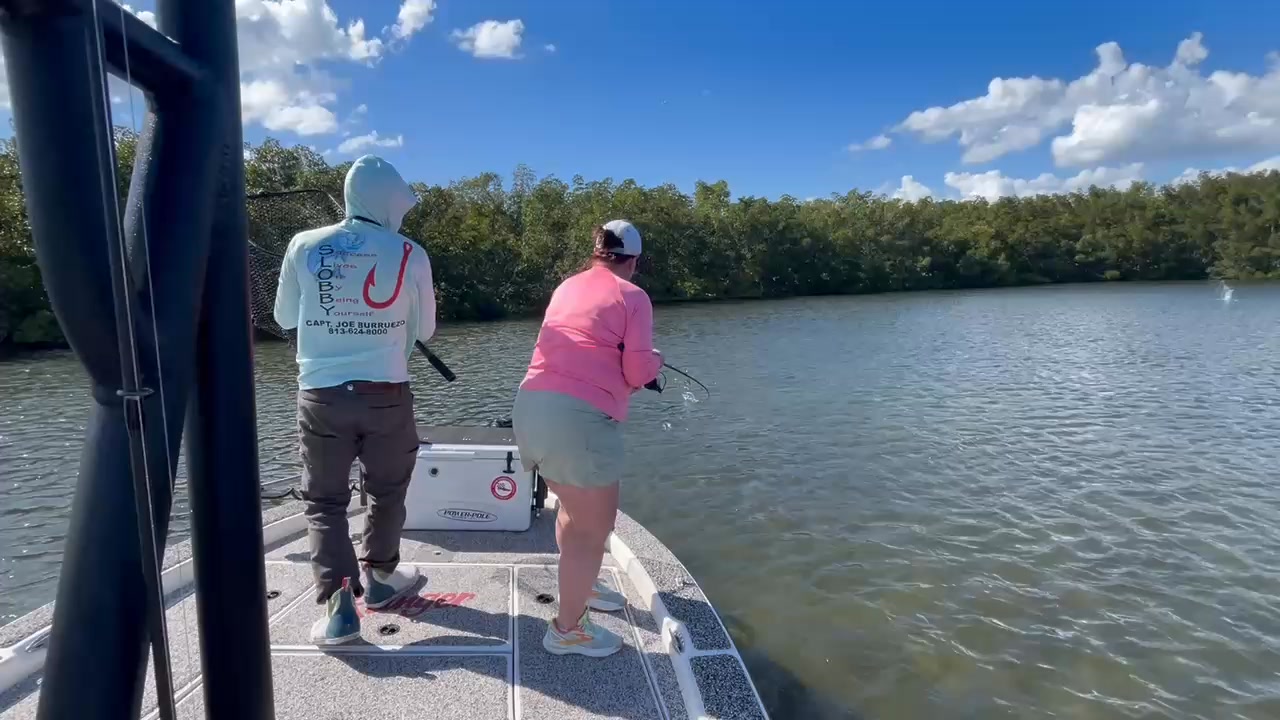 Have you ever hooked a big fish and worried you would lose it? Watch me walk this client through how to land a beautiful 26-inch Tampa Bay Redfish. Thank you for booking! 🙌🏼
Slobby Joe Charters
Slobbyjoecharters.com
813-624-8000
@highlight