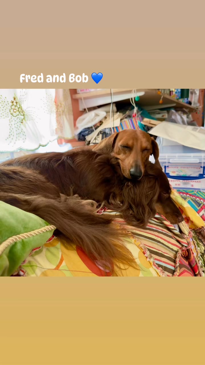 Fred and Bob 💙💙