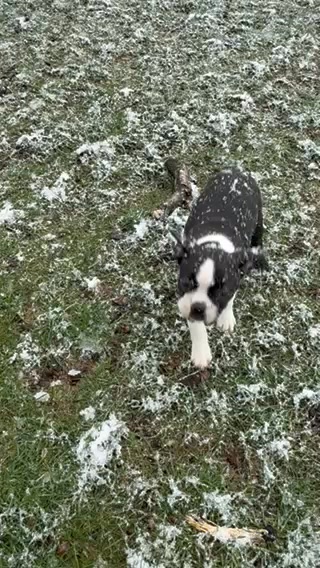 3 more days!! 😍😍