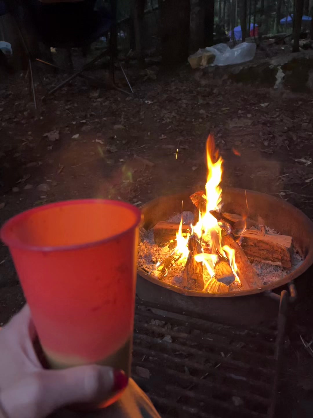 I’m really looking forward to listening to these sounds as I enjoy my early morning coffee by the fire.
There’s something primal and sacred about being with nature as it slowly wakes ✨
#adirondacks #women #adventure #2026
https://www.bethsturdevant.com/adirondackwomenretreat