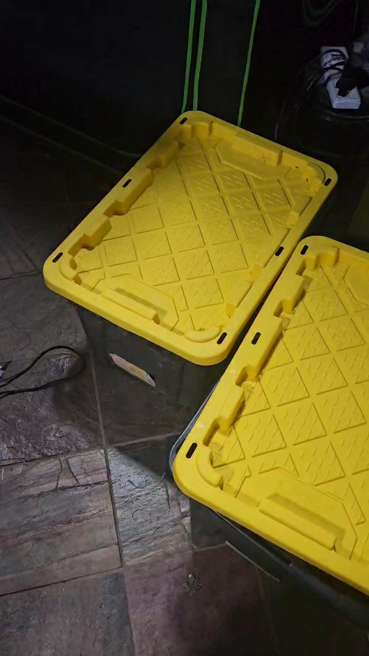 Experiment Update! Moment of truth: Keeping Seedling Plants Watered Automatically while on Vacation for a Week #garden #seedlings #engineering #plants #gardening