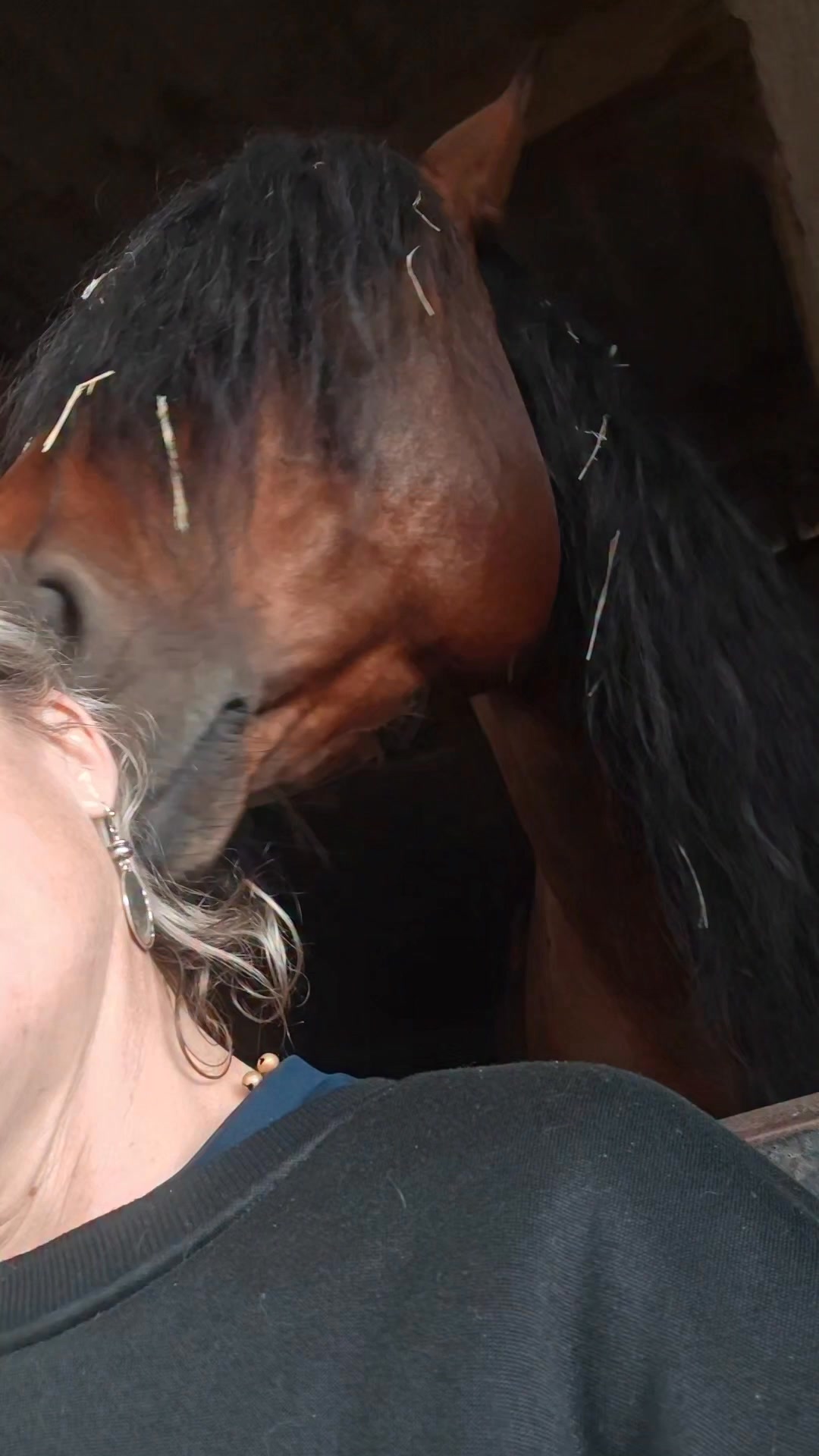 Mon amour...
Mon étalon...
Ma gravure...
11 ans de toi
Beauté et gentillesse... J'en ai de la chance 🙏🙏😍