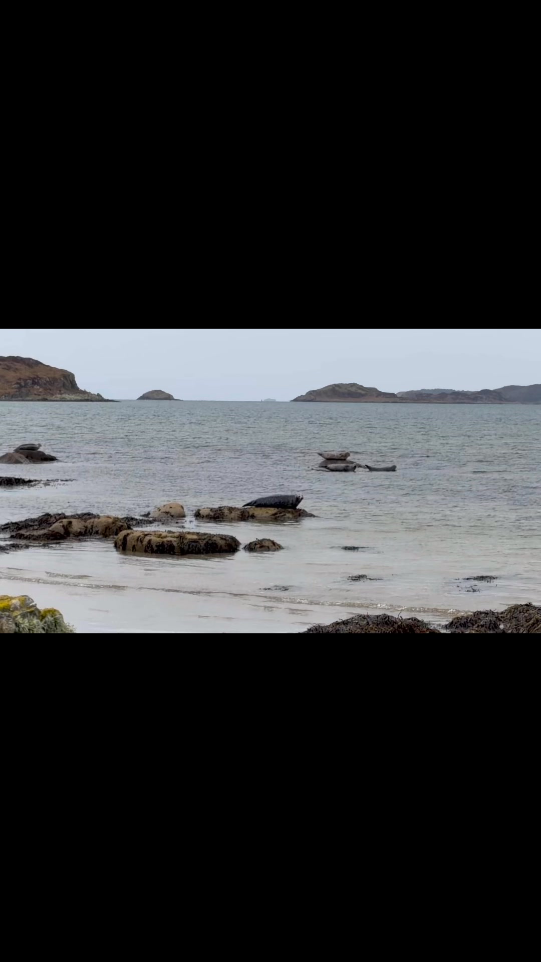 Une nouvelle contrée sauvage au programme à partir de cet automne ! 😊